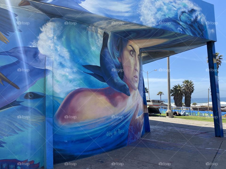 Blue mar y tierra convivencia