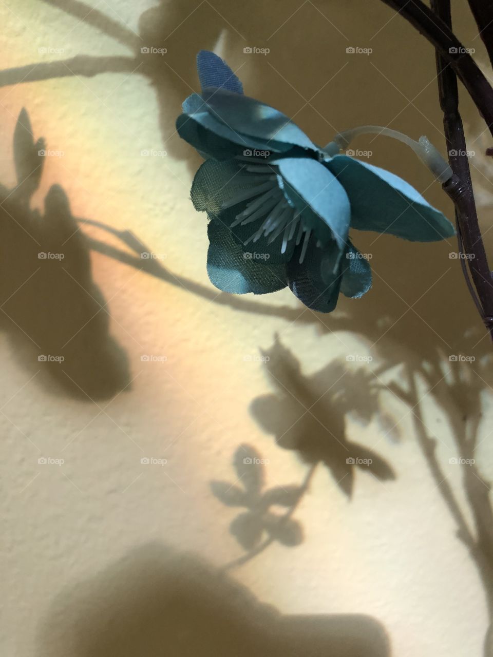 Artificial teal flower with shadows and rainbow on wall