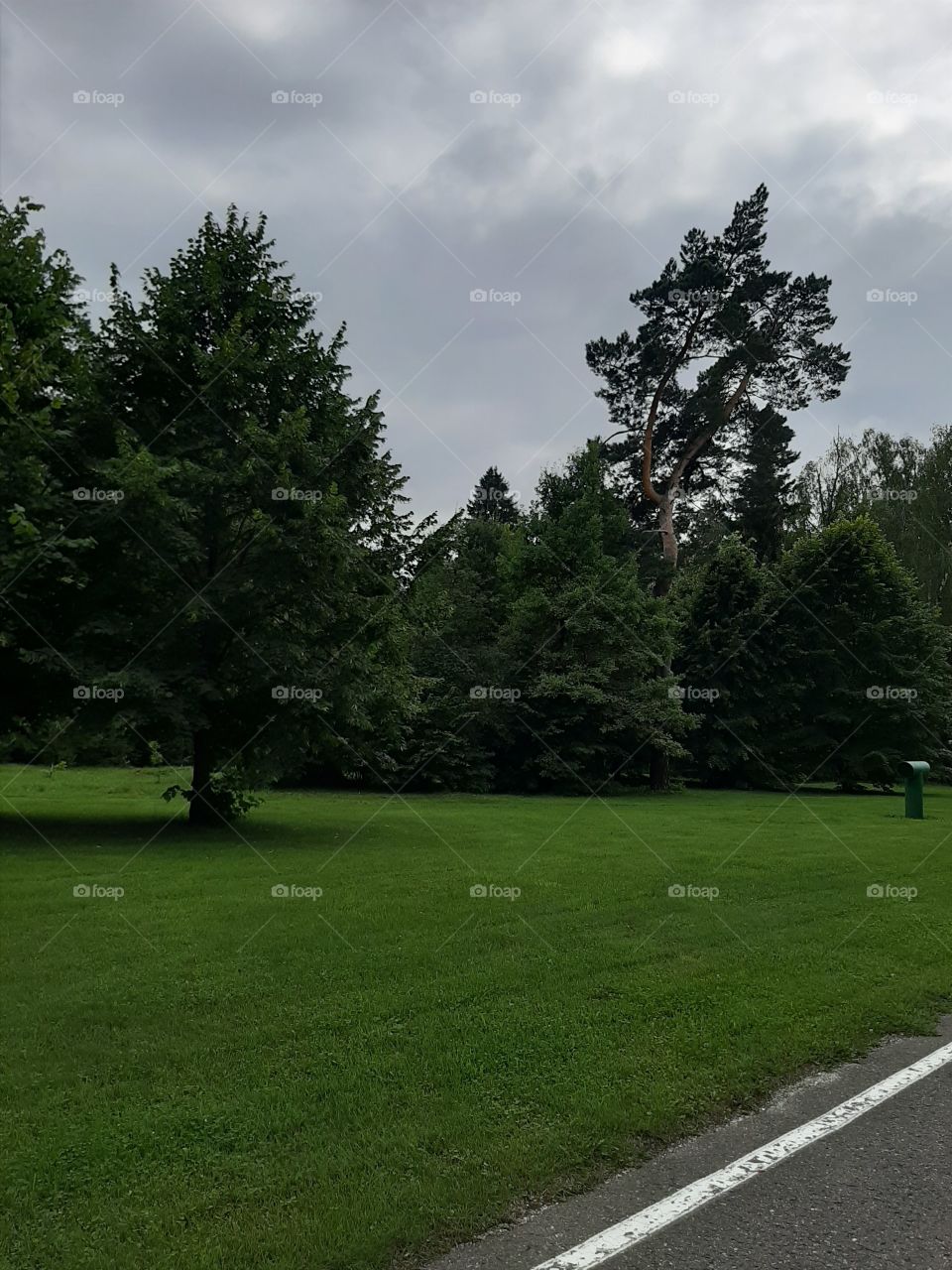 Бери   пример   с   ёлки!