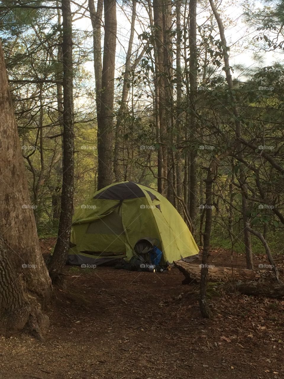 Tent site camping on the Appalachian Trail