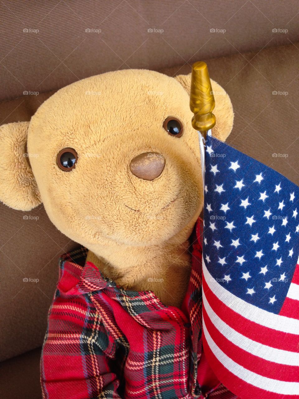 Teddy Beat. Stuffed teddy bear with an American flag