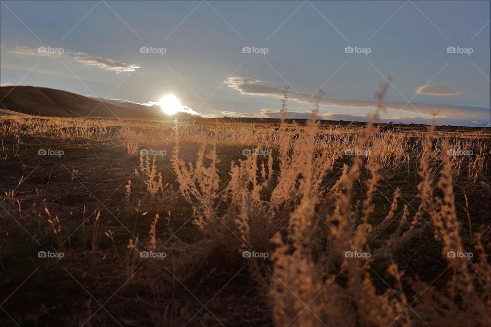 Sunset on the grasslands