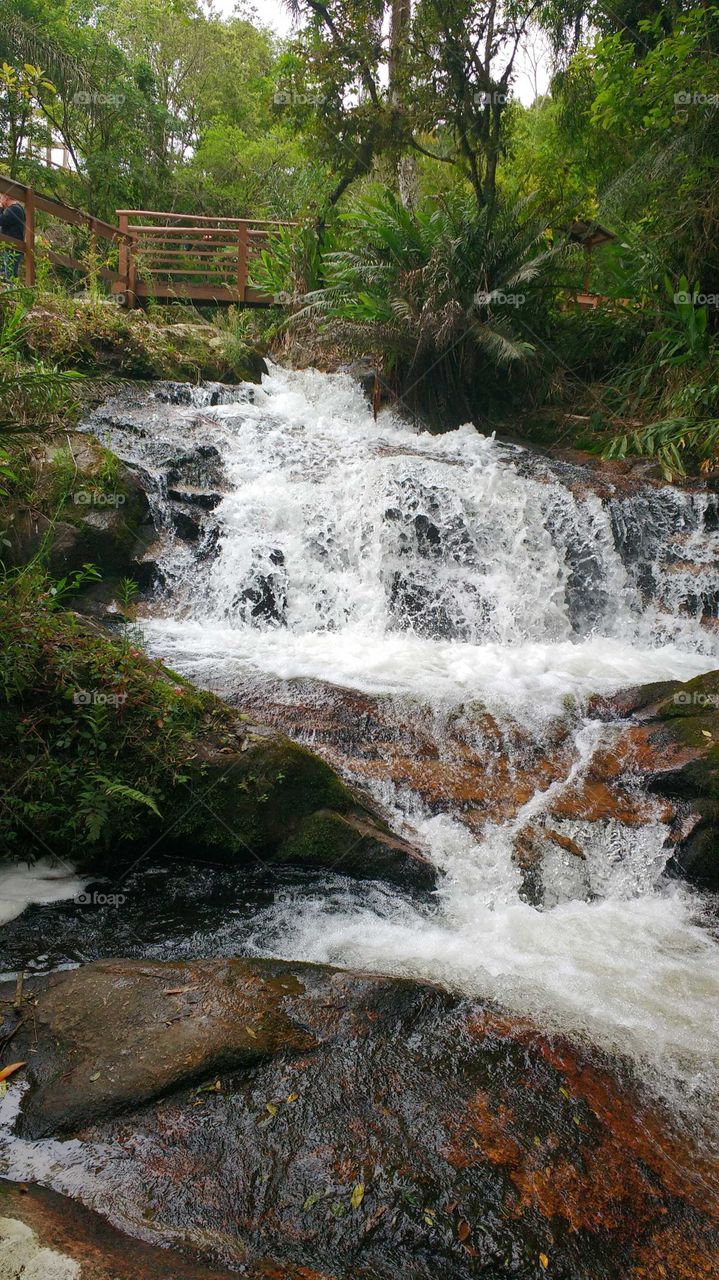 Cascata de águas frias em São Bonifácio, SC