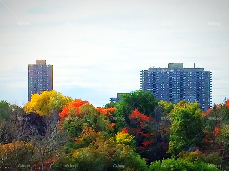 Urban gardens 