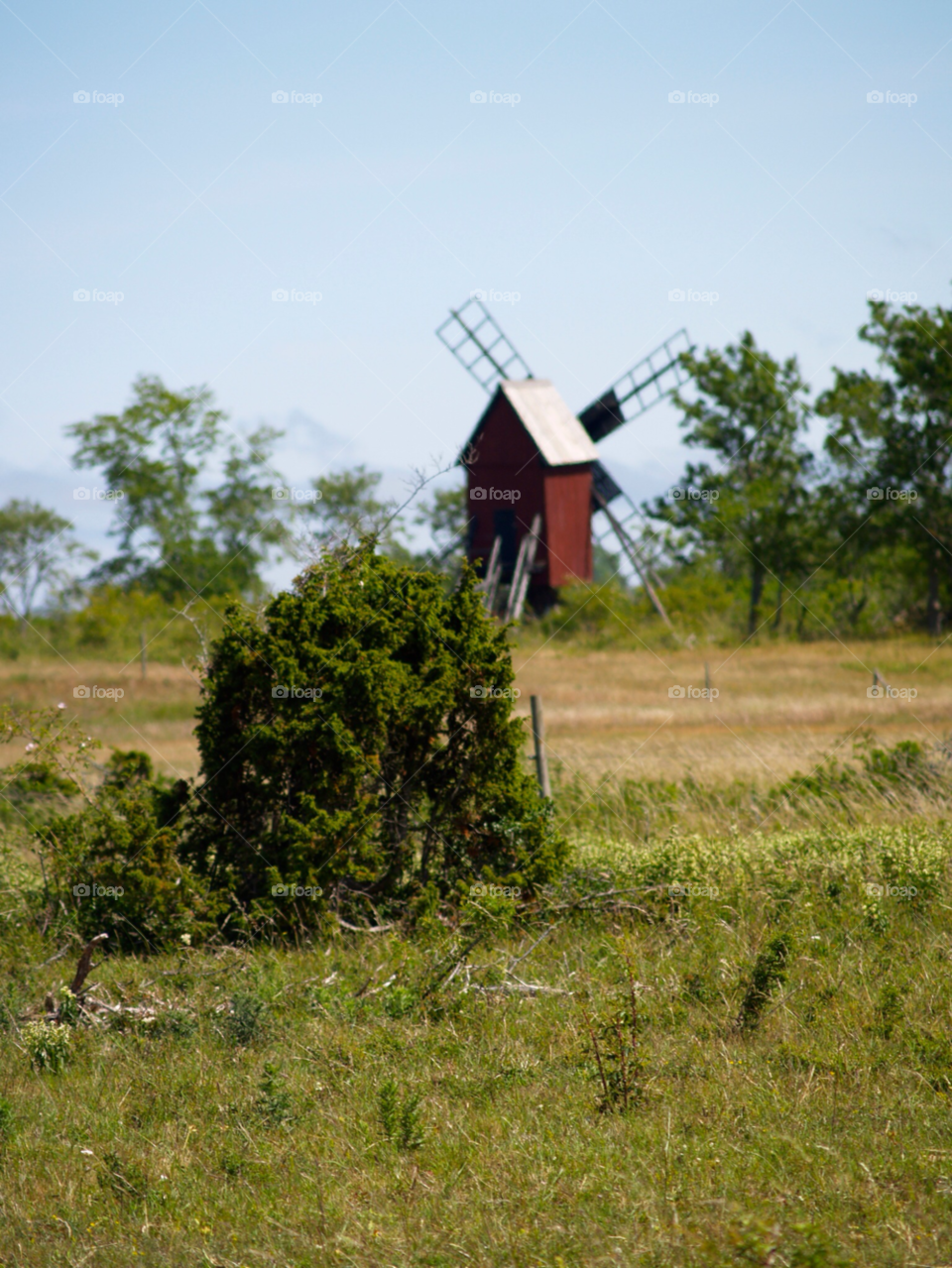sommar äng väderkvarn mölla by kalubro