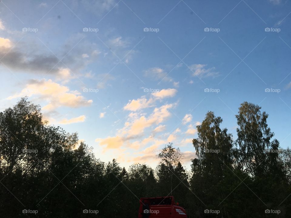 Sunset in the forest with clouds and blue sky