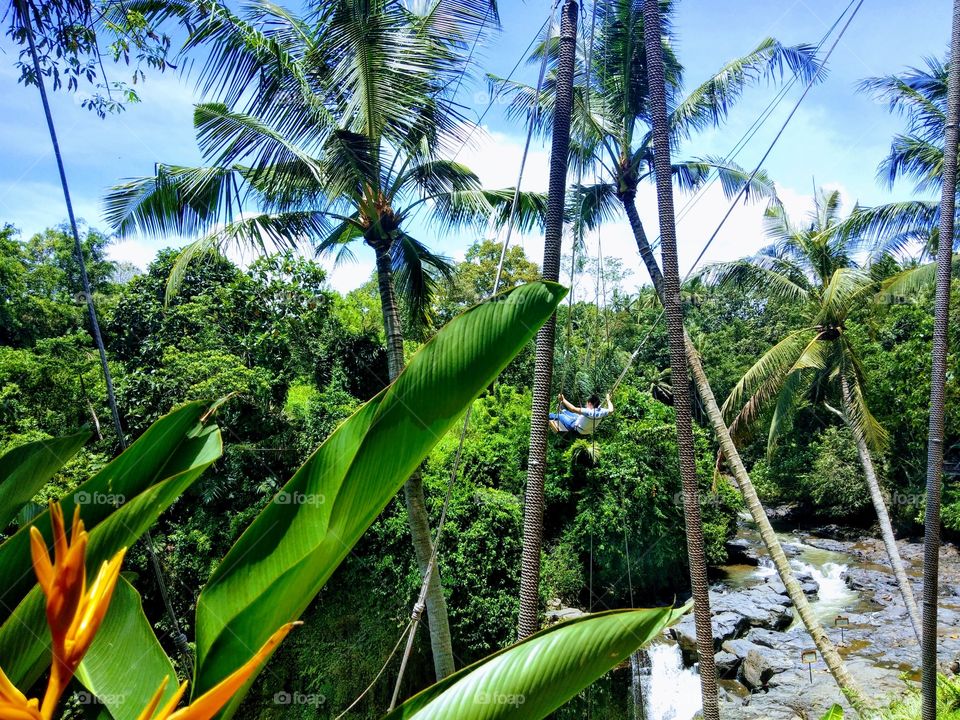 Swinging moments at the top of water fall's nurture lush greenery surrounds in Bali .