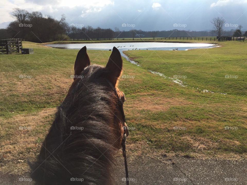 Horseback riding on a beautiful day after a rain storm observing the pond with high water 