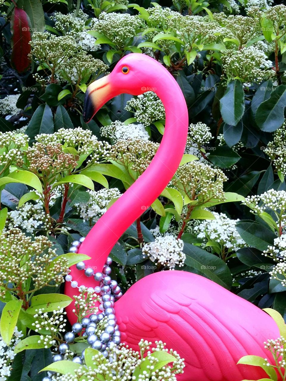 Plastic Pink Flamingo in the Bushes