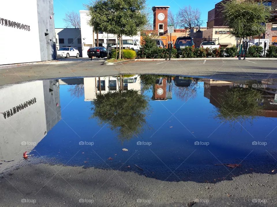 reflection