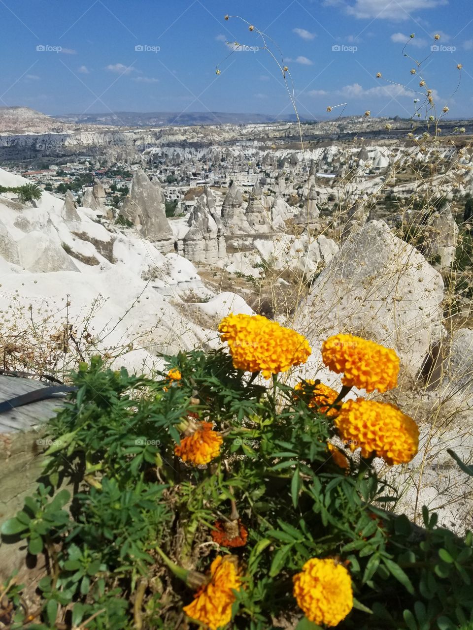flowers in front of Cappadocia mountain cave homes in Turkey