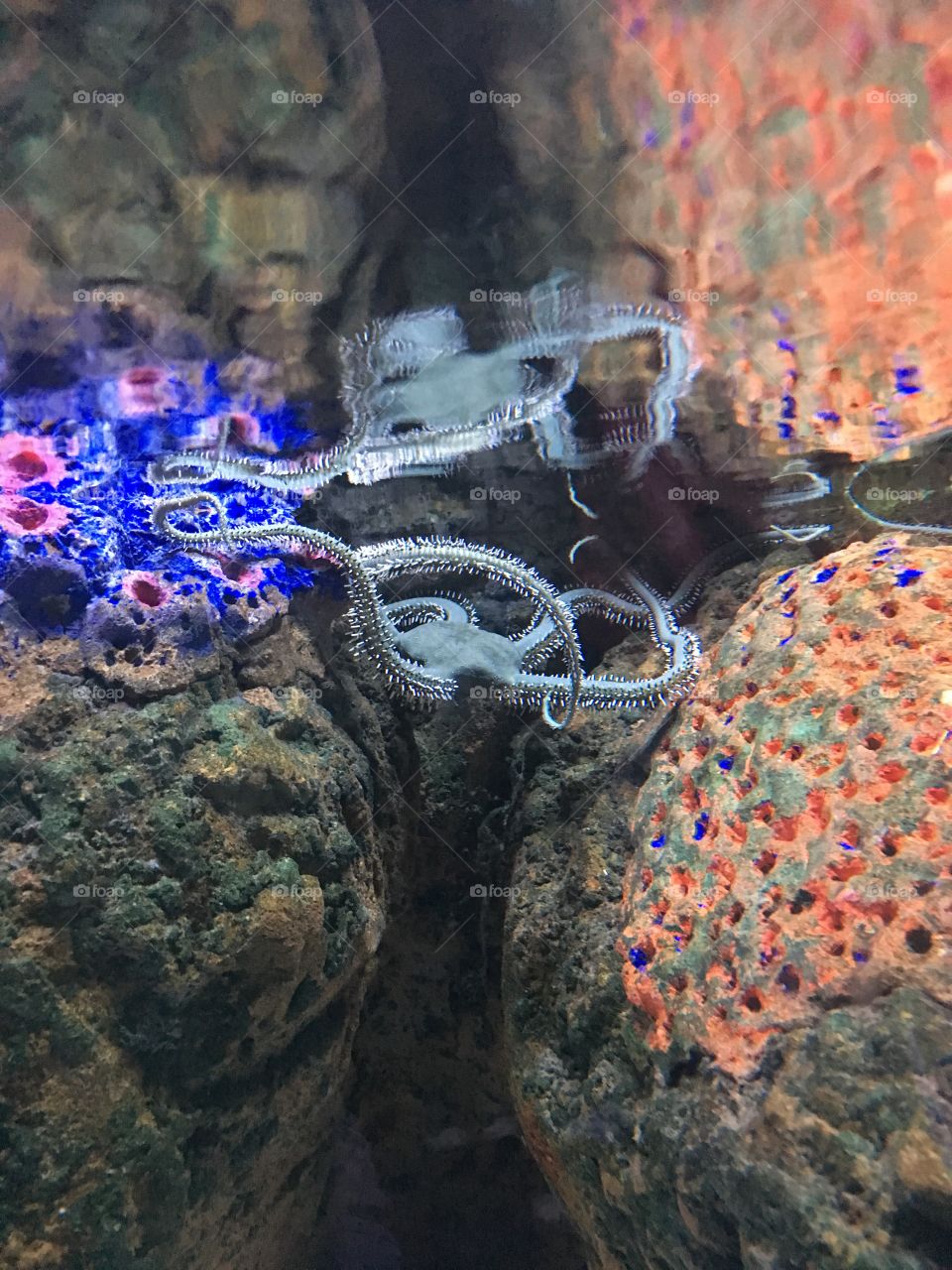 Art, Abstract, Decoration, Color, Water