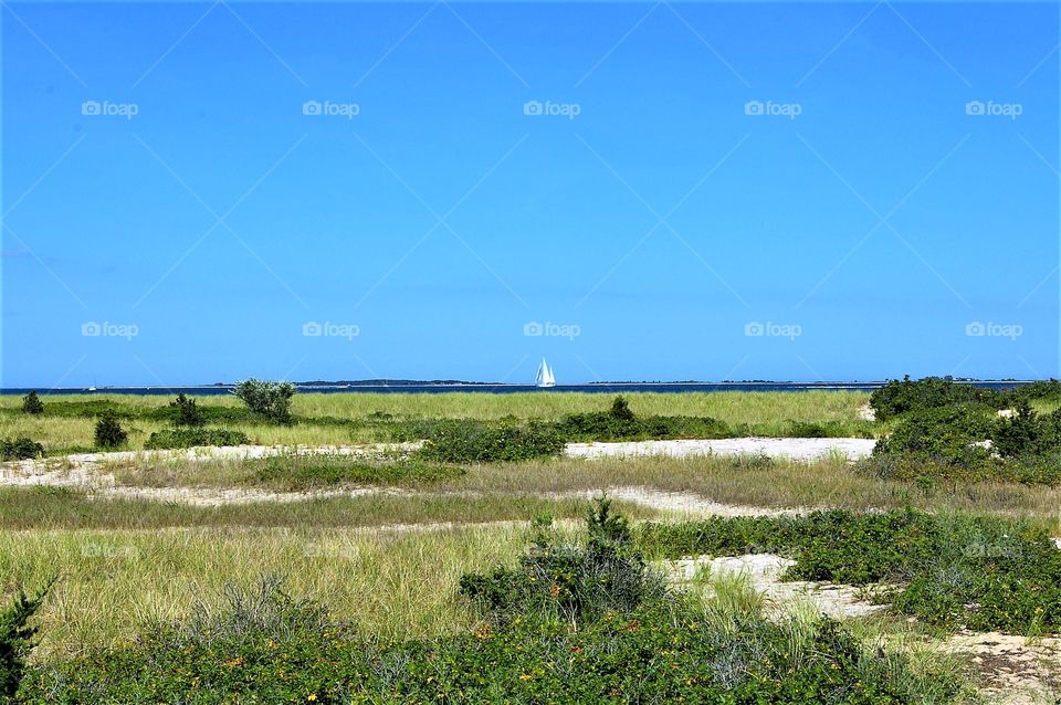 Edgartown Ocean View