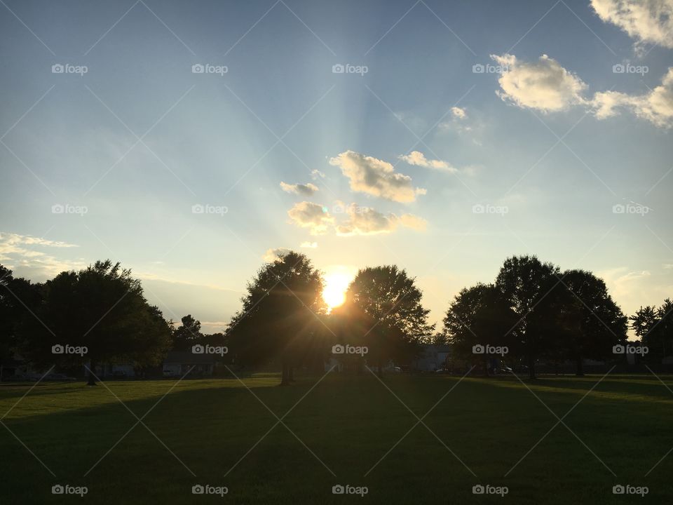 Sunset through two trees
