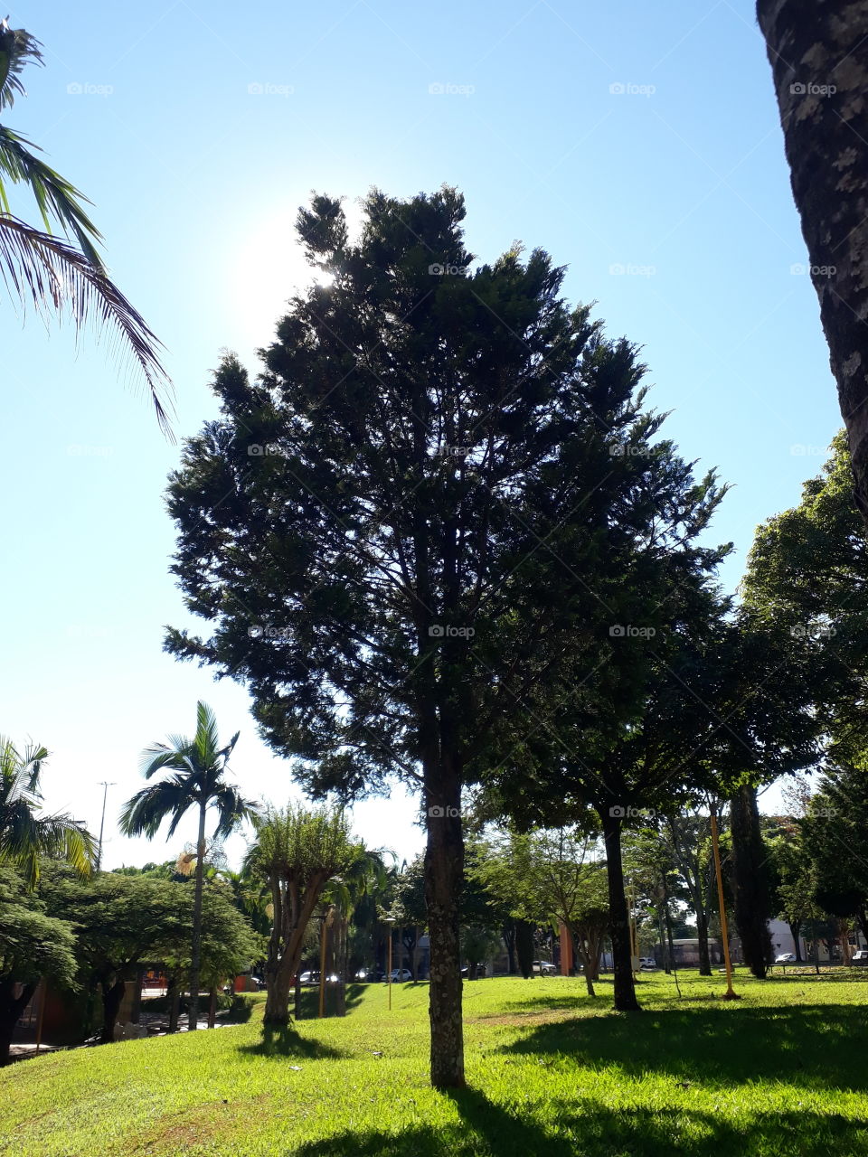 Praça Brasília, Cafelândia Paraná Brasil