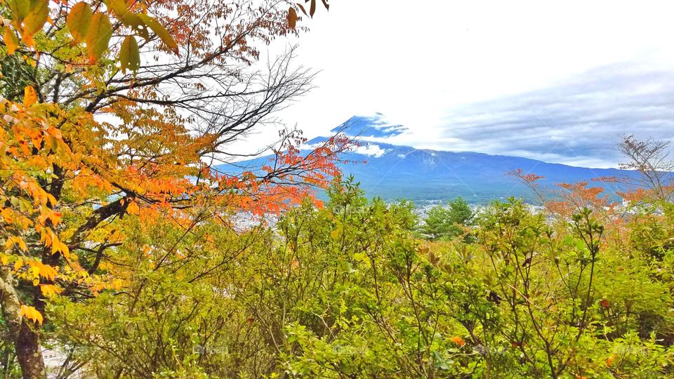 Beautiful mount Fuji,  Japan