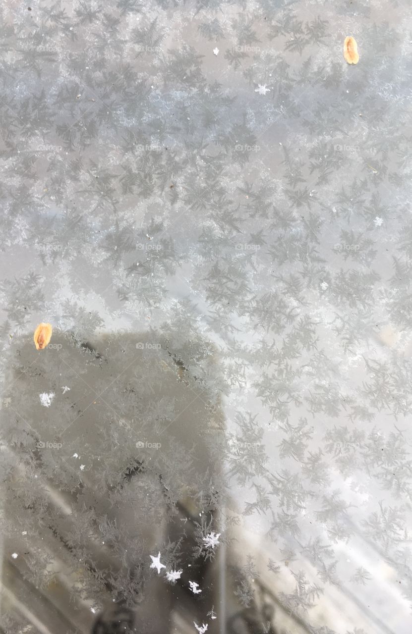 Real snowflakes landing on outdoor glass table. ❄️