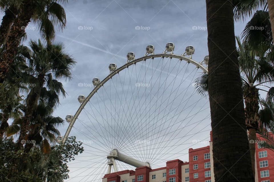 Las Vegas High Roller