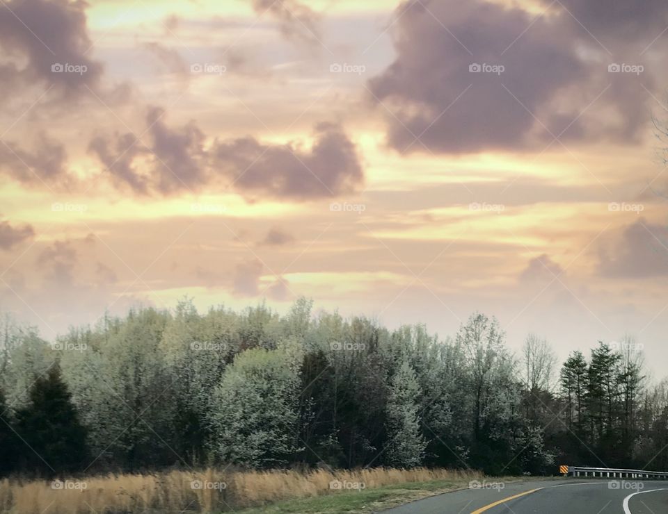 Spring is on the road