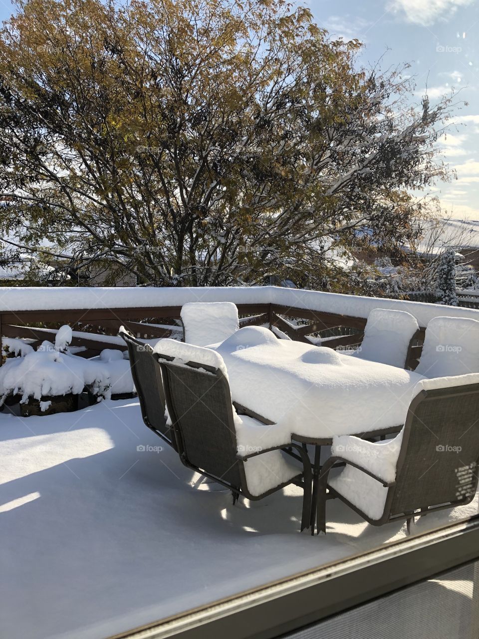 Snow On An Autumn Day in Canada