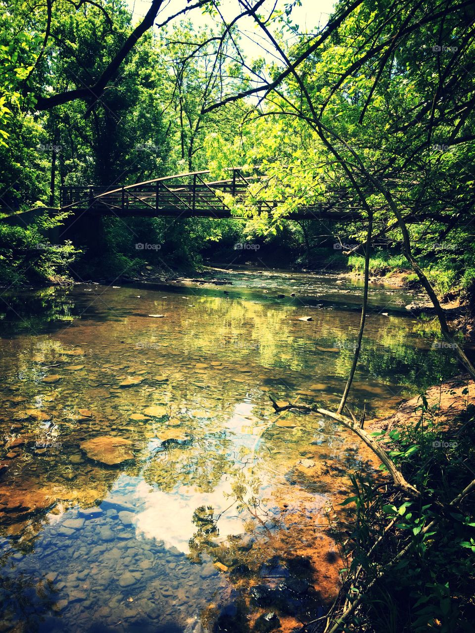 A bridge across a sun streaked creek
