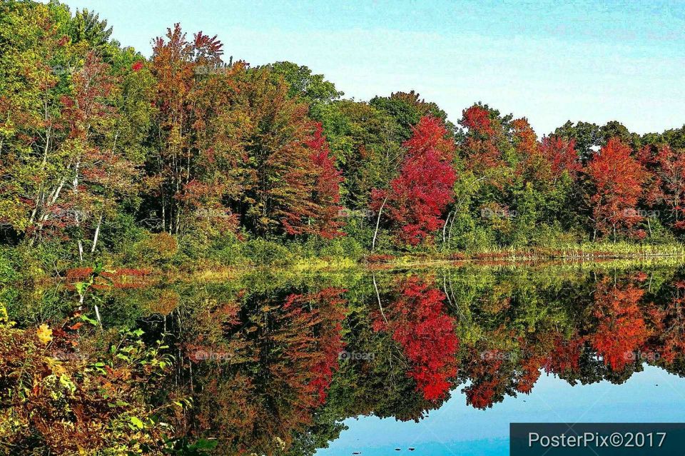 Fall reflection on lake