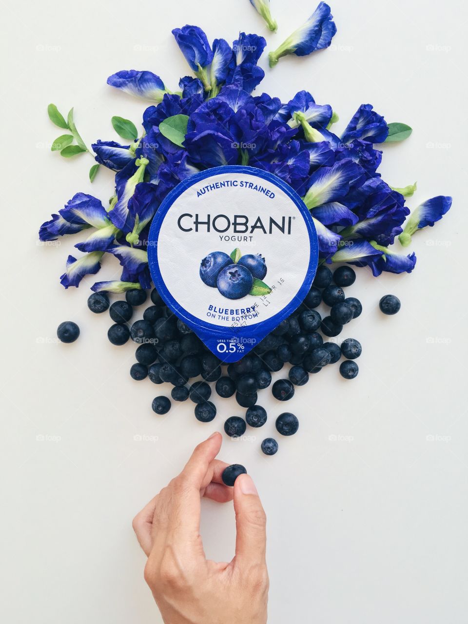 CHOBANI in Amazing Sceneries : Chobani Blueberry with blueberries and blue butterfly pea flowers.