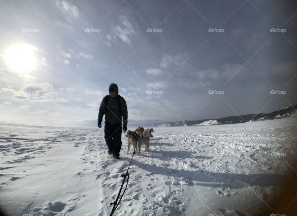Man in black with his dogs to get ready for outdoor activity russia