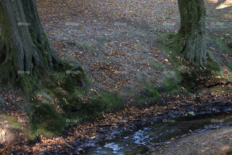 In a park in Antwerp