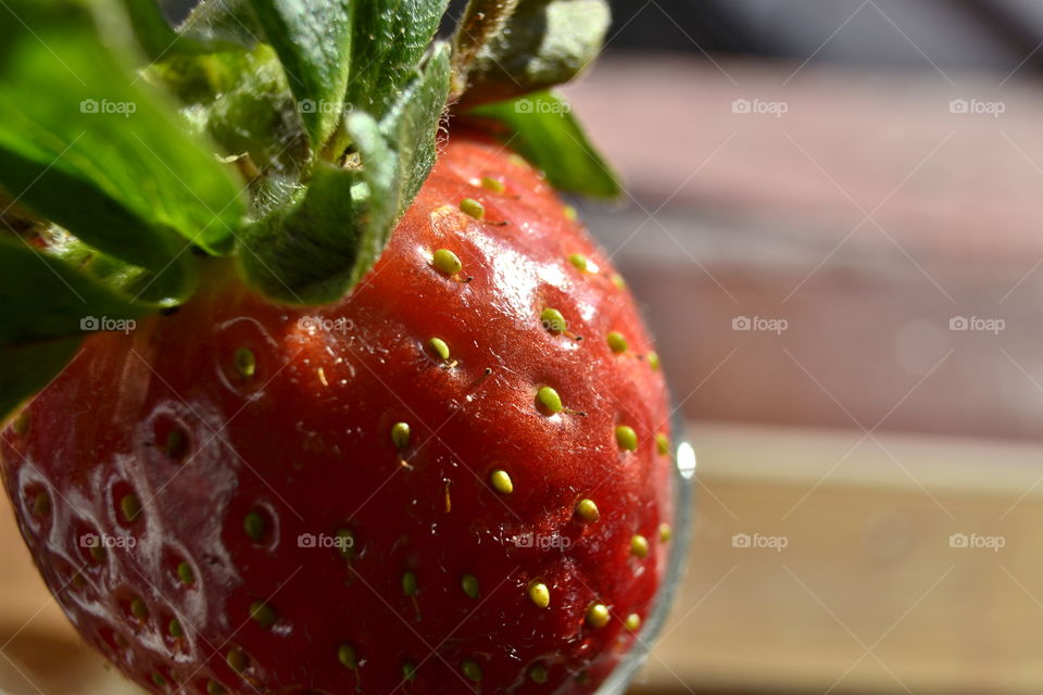 Red strawberry 