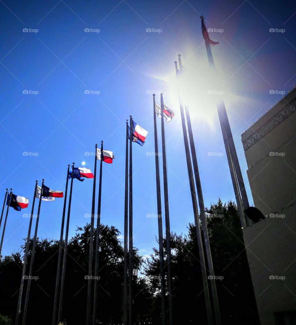 Texas Flags
