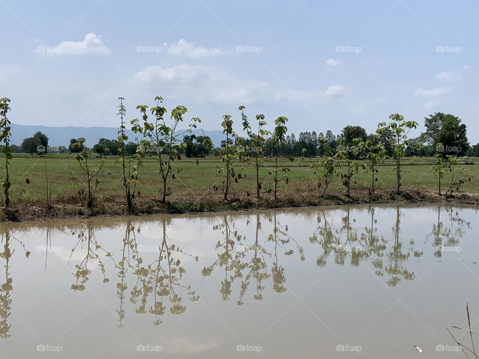 Editors ‘ choice : Photo of the week, Countryside.