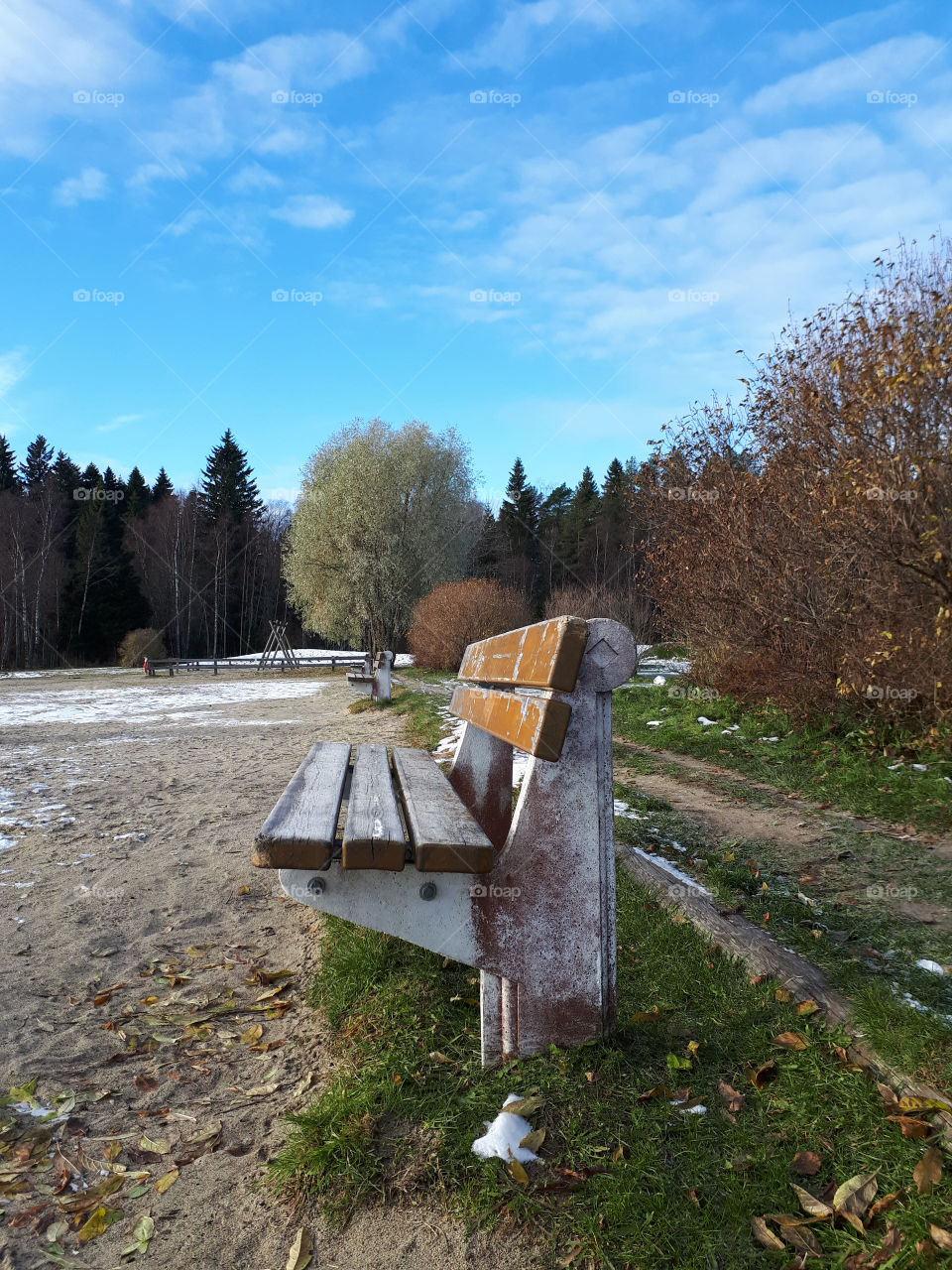 bench green fall  frost