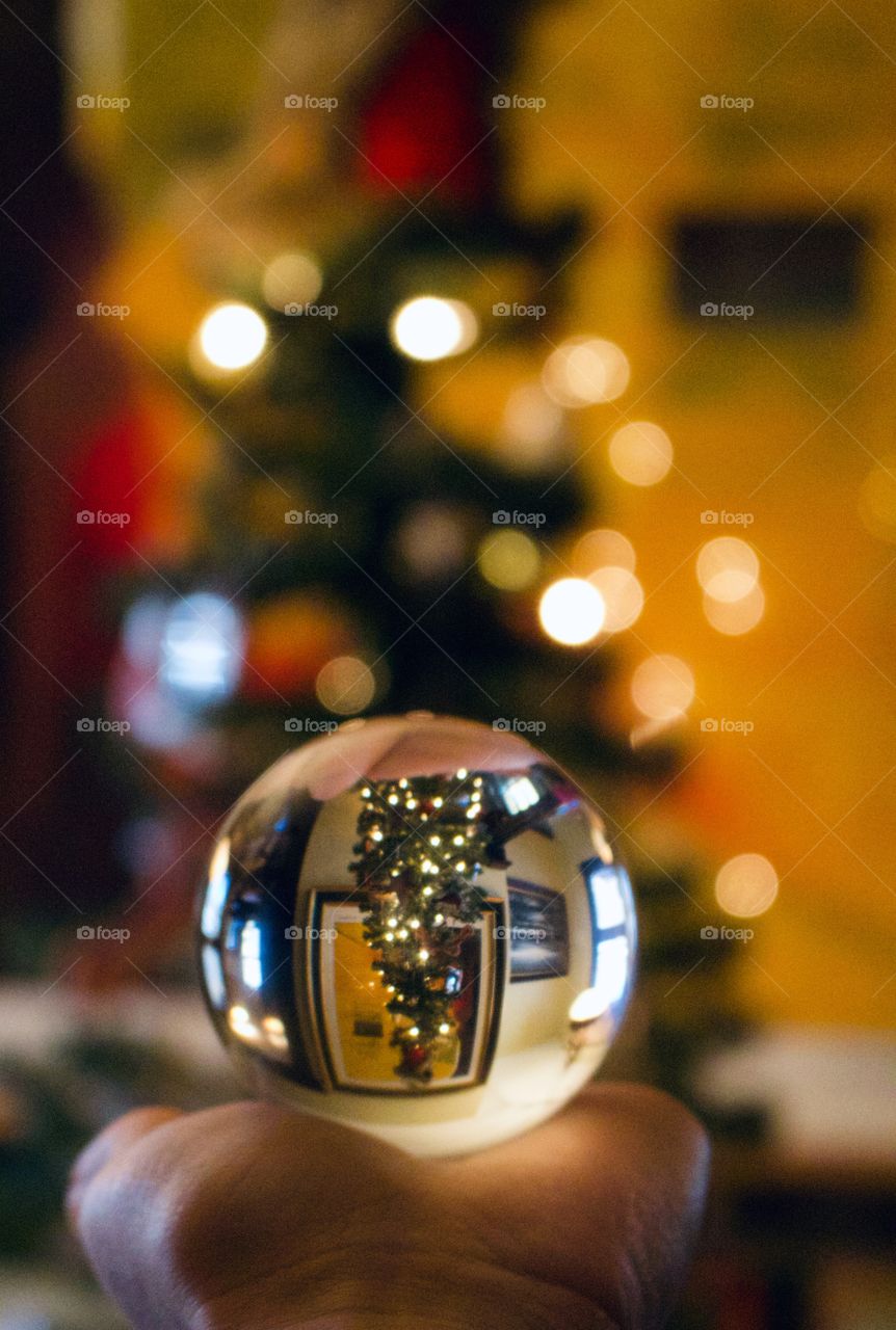 Christmas Tree Reflections 
