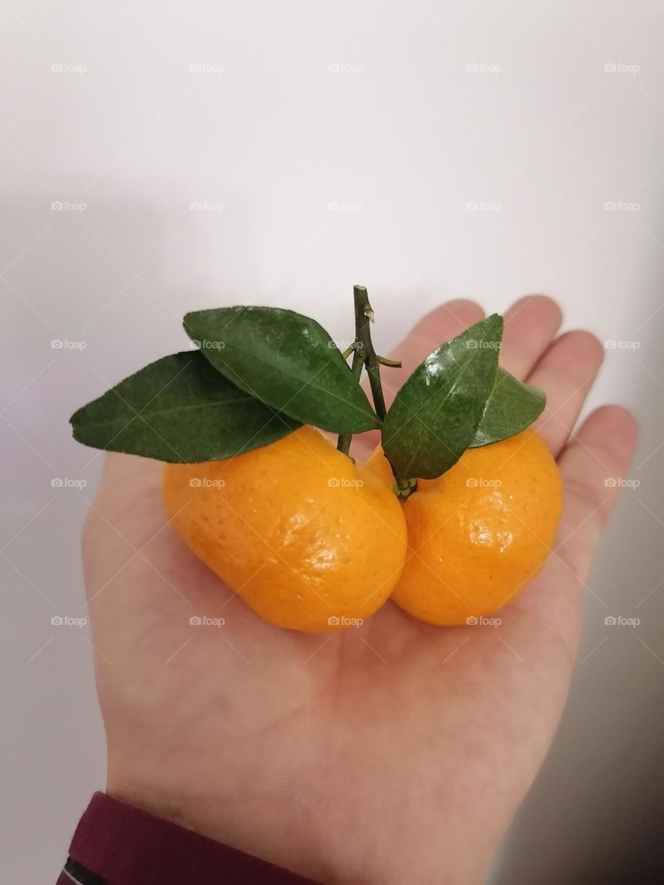 Mandarin is one of the symbols of Christmas