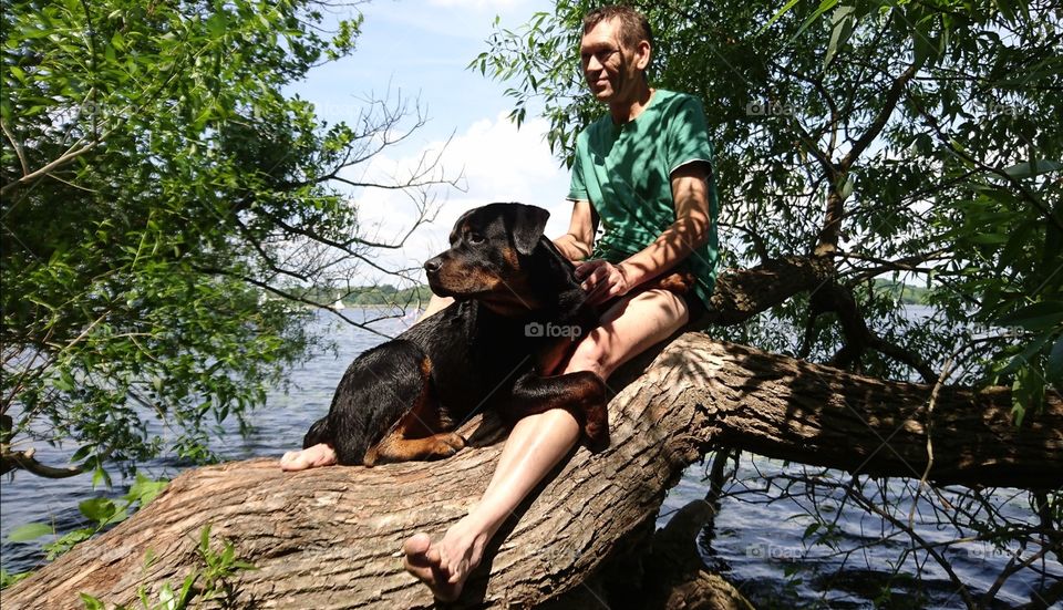 Rottweiler at the lake