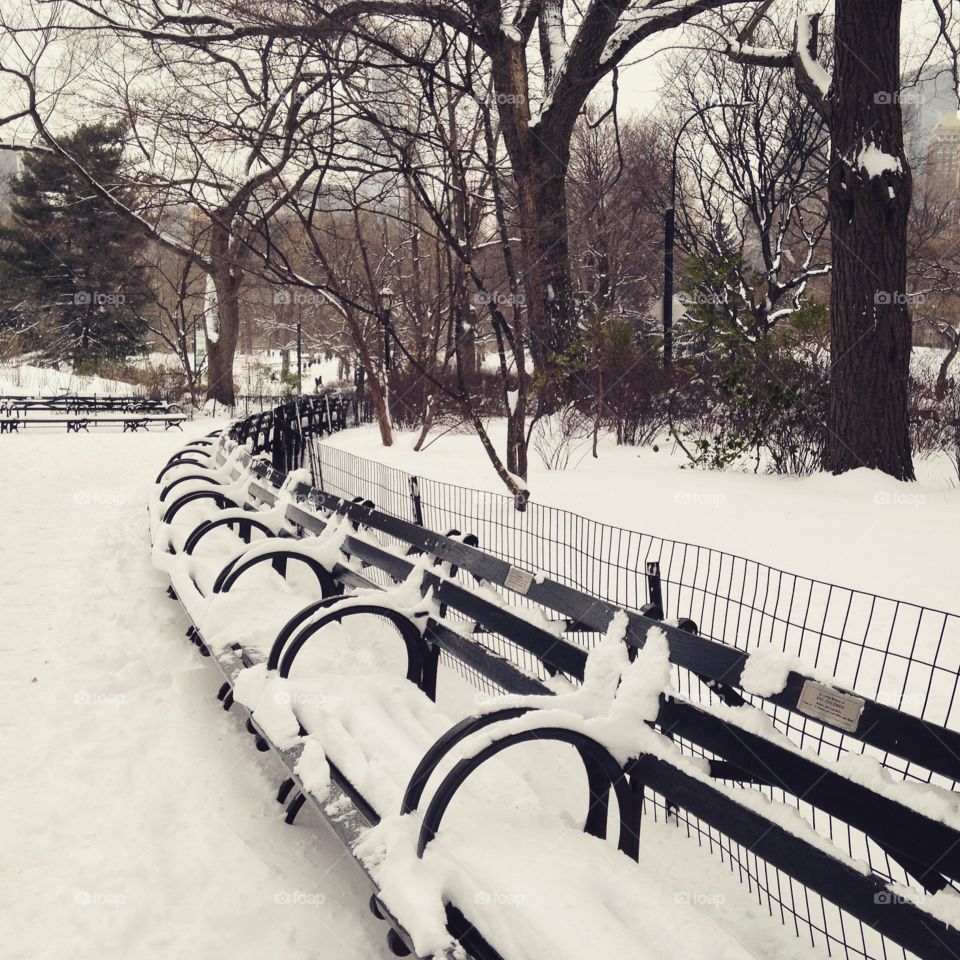 Snow in Central Park