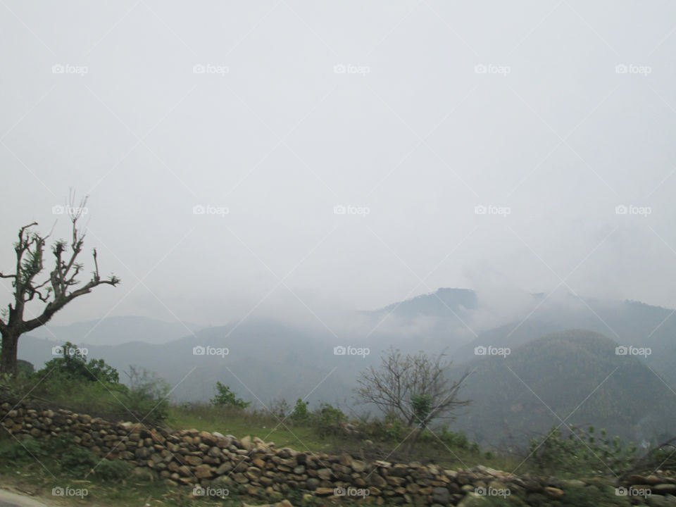 Beautiful mountain with fog ,tree and stone