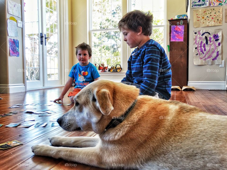 Children With Family Dog