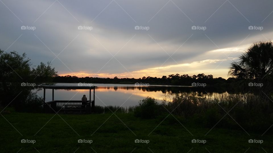 Peaceful night at the George LeStrange Preserve in Fort Pierce, Florida.
