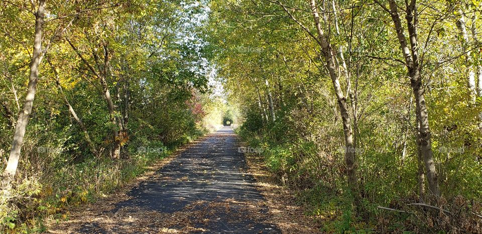 Autumn on the Rail Trail
