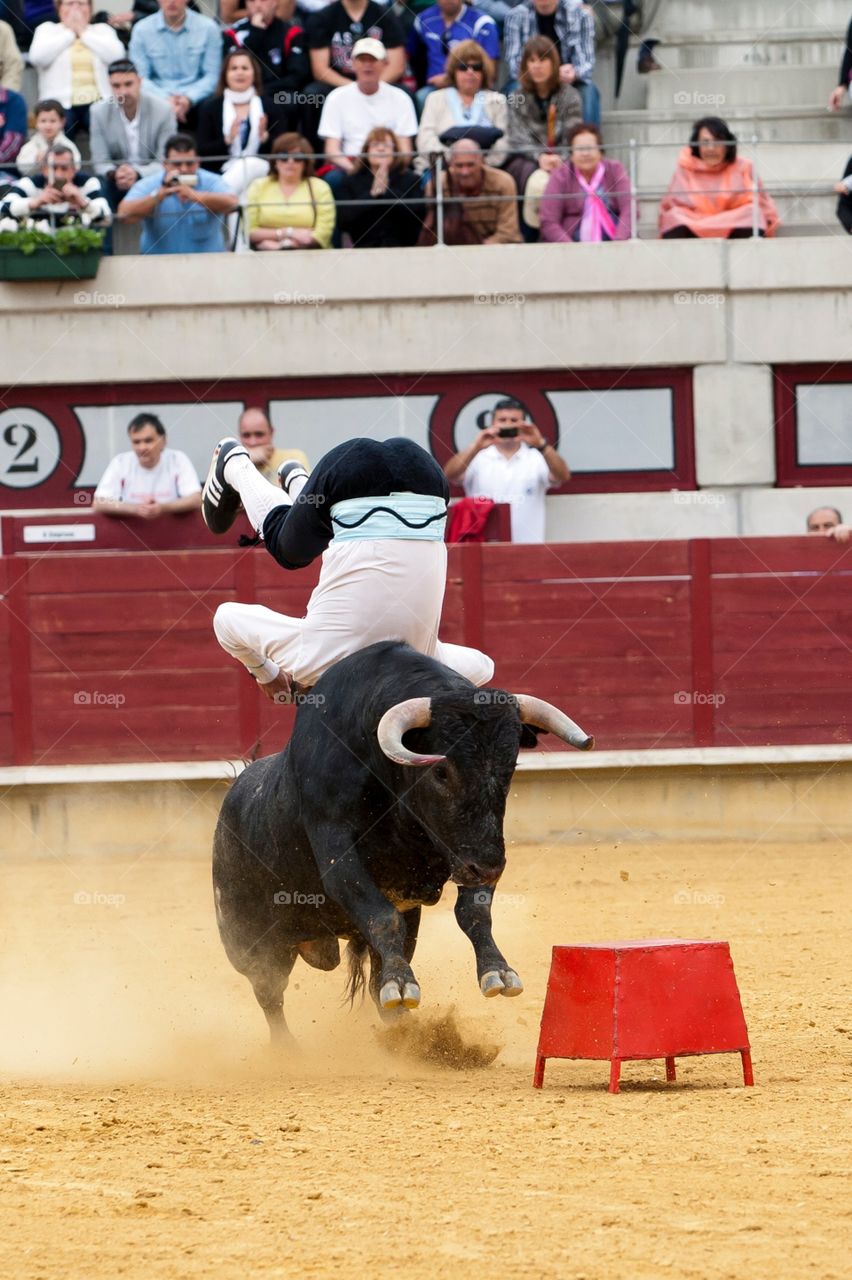 Toros bulls popular party fiesta popular spain España 