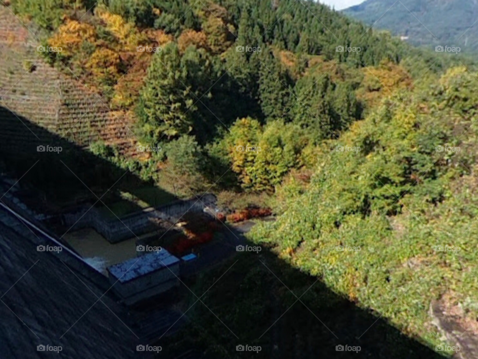 Красивый вид 