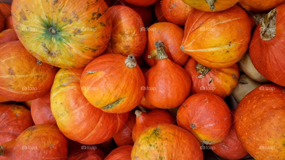 Fall, Pumpkin, Food, No Person, Market