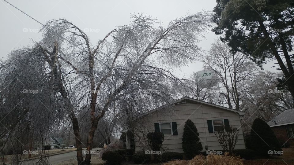 Jan 2017: A winter storm brought 3/4 inch of Ice from freezing rain in Farmington Missouri.