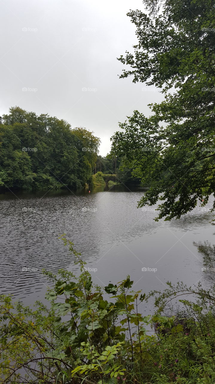 lakeside  walk