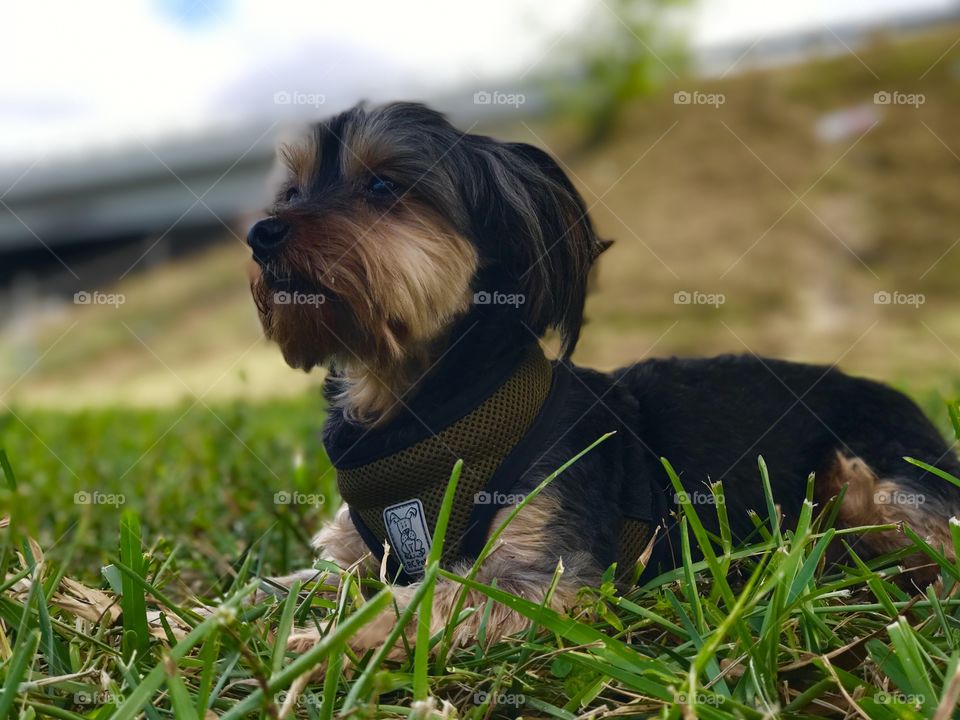 This is Bill. We miss you Bill. 