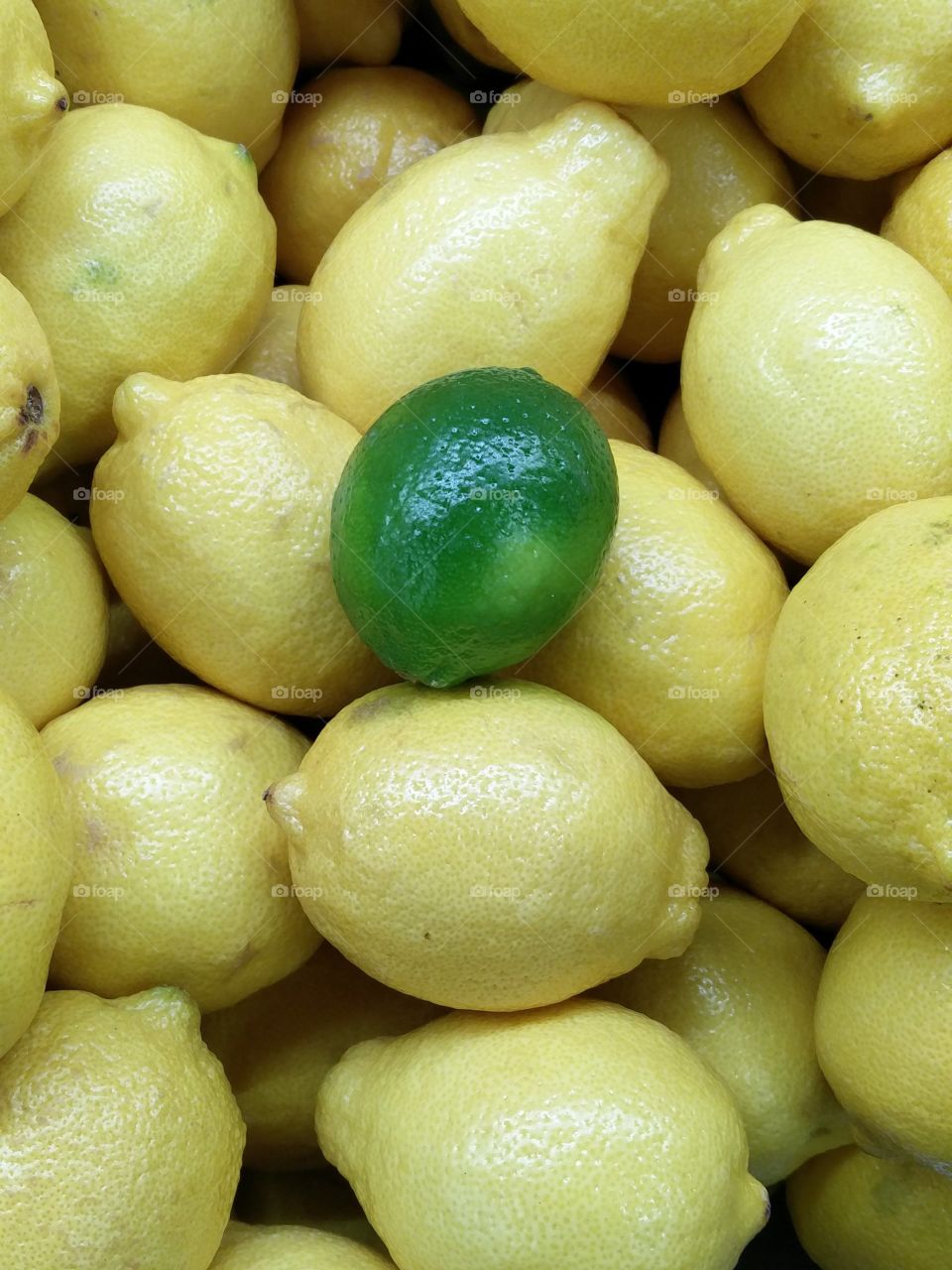 Lemons and Lime