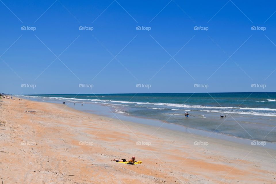 Early Summer Swimming