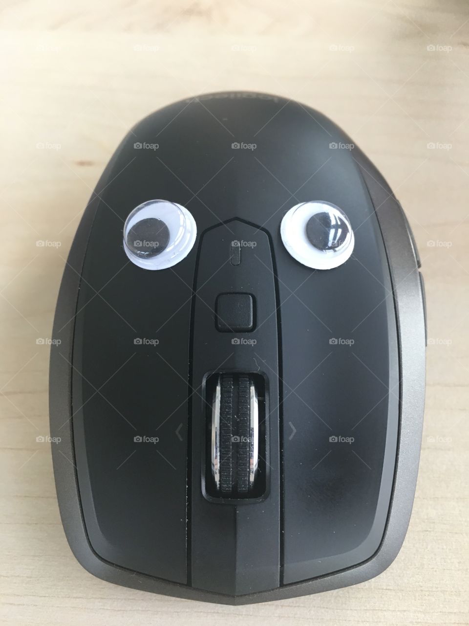 Mouse 